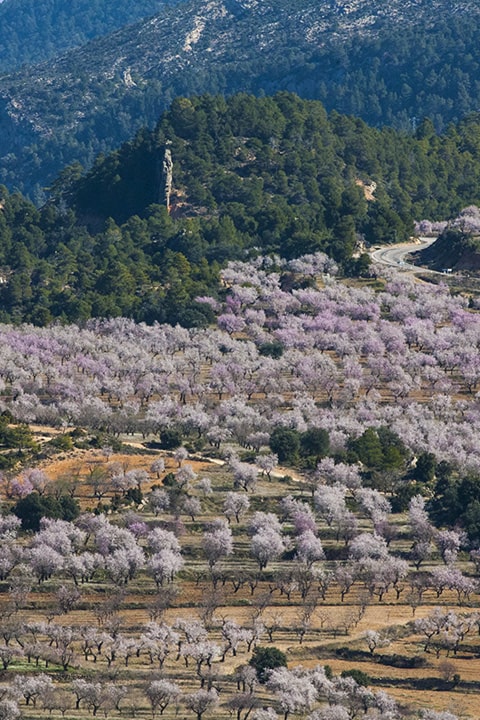 ruta matarraña de los miradores